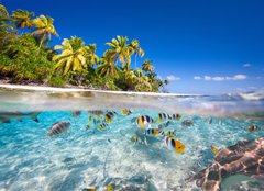 Fototapeta pltno 240 x 174, 57894444 - Tropical island - Tropick ostrov