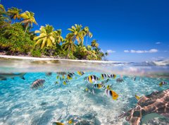 Fototapeta330 x 244  Tropical island, 330 x 244 cm