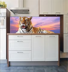 Fototapeta do kuchyn flie 180 x 60  Tiger looking something on the rock with beautiful sky at sunset, 180 x 60 cm