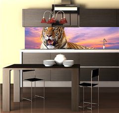 Fototapeta do kuchyn flie 260 x 60, 57972790 - Tiger looking something on the rock with beautiful sky at sunset - Tygr hled nco na skle s krsnou oblohou pi zpadu slunce