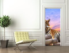 Samolepka na dvee flie 90 x 220  Tiger looking something on the rock with beautiful sky at sunset, 90 x 220 cm