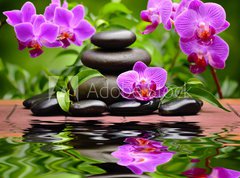 Samolepka flie 270 x 200, 58101039 - orchid