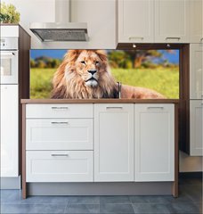 Fototapeta do kuchyn flie 180 x 60, 58606525 - Big lion lying on savannah grass. Kenya, Africa