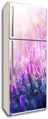 Samolepka na lednici flie 80 x 200  Lavender Flowers Field. Growing and Blooming Lavender, 80 x 200 cm