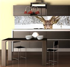 Fototapeta do kuchyn flie 260 x 60, 58977181 - Deer with beautiful big horns on a winter country road