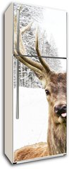Samolepka na lednici flie 80 x 200, 58977181 - Deer with beautiful big horns on a winter country road