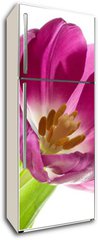 Samolepka na lednici flie 80 x 200, 5902197 - lilac tulips isolated on white