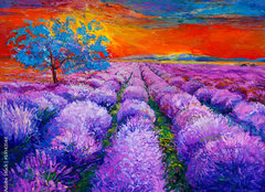 Fototapeta plátno 160 x 116, 59143146 - Lavender fields - Levandulová pole