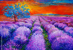 Fototapeta pltno 174 x 120, 59143146 - Lavender fields