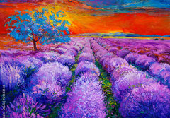 Fototapeta papr 184 x 128, 59143146 - Lavender fields