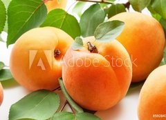 Fototapeta plátno 160 x 116, 59284348 - Fresh apricots - Čerstvé meruňky