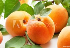 Fototapeta184 x 128  Fresh apricots, 184 x 128 cm