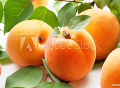 Fototapeta360 x 266  Fresh apricots, 360 x 266 cm