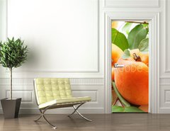 Samolepka na dvee flie 90 x 220, 59284348 - Fresh apricots