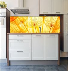 Fototapeta do kuchyn flie 180 x 60  Dandelion, 180 x 60 cm
