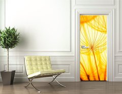 Samolepka na dvee flie 90 x 220  Dandelion, 90 x 220 cm