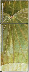 Samolepka na lednici flie 80 x 200, 5989441 - background from natural leafs