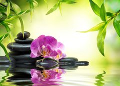 Samolepka flie 200 x 144  alternative massage in bamboo garden on water, 200 x 144 cm