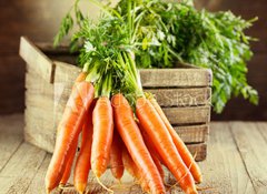 Samolepka flie 100 x 73, 59972798 - fresh carrots - erstvou mrkev