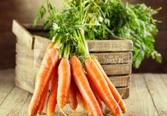 Fototapeta vliesov 145 x 100, 59972798 - fresh carrots