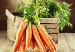 Fototapeta184 x 128  fresh carrots, 184 x 128 cm