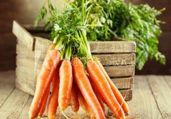 Fototapeta papr 184 x 128, 59972798 - fresh carrots