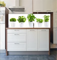Fototapeta do kuchyn flie 180 x 60, 59972855 - set of potted green plants - sada hrnkovch zelench rostlin