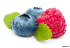 Samolepka flie 145 x 100, 60008014 - Raspberry and blueberry isolated on white background - Malina a borvka izolovanch na blm pozad