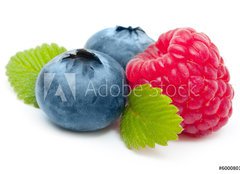 Fototapeta papr 160 x 116, 60008014 - Raspberry and blueberry isolated on white background - Malina a borvka izolovanch na blm pozad