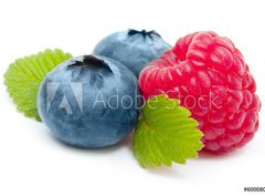 Fototapeta330 x 244  Raspberry and blueberry isolated on white background, 330 x 244 cm