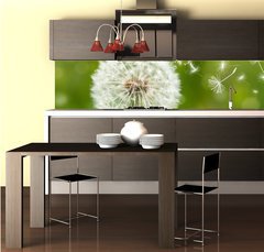 Fototapeta do kuchyn flie 260 x 60  dandelion with flying seeds, 260 x 60 cm