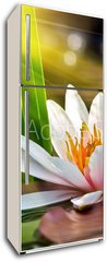 Samolepka na lednici flie 80 x 200  water lily, 80 x 200 cm