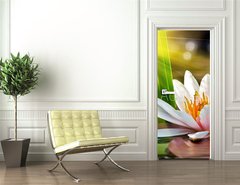 Samolepka na dvee flie 90 x 220  water lily, 90 x 220 cm
