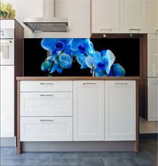 Fototapeta do kuchyn flie 180 x 60, 60337173 - Blue sapphire orchid - Modr safrov orchidej