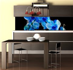 Fototapeta do kuchyn flie 260 x 60  Blue sapphire orchid, 260 x 60 cm