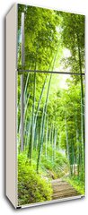 Samolepka na lednici flie 80 x 200  Bamboo forest and walkway, 80 x 200 cm