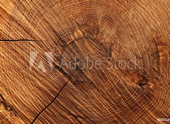 Samolepka flie 100 x 73, 60558445 - Wooden background - Devn pozad