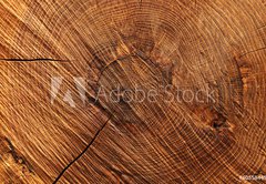 Fototapeta pltno 174 x 120, 60558445 - Wooden background