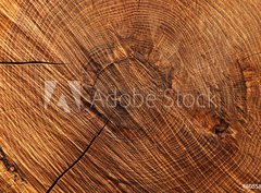 Fototapeta pltno 330 x 244, 60558445 - Wooden background