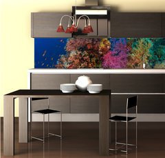 Fototapeta do kuchyn flie 260 x 60, 60562168 - Coral and fish