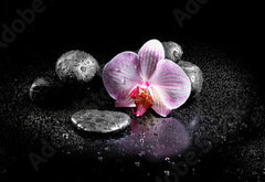 Samolepka fólie 145 x 100, 60629892 - Horizontal panorama with pink orchids and zen stones on black ba - Horizontální panorama s růžovými orchidejemi a zenovými kameny na černé ba