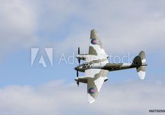 Fototapeta papr 184 x 128, 60700500 - Mosquito in flight - Mosquito za letu
