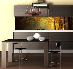 Fototapeta do kuchyn flie 260 x 60, 60738927 - Autumn in the forest