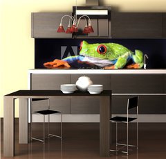 Fototapeta do kuchyn flie 260 x 60  frog macro  a red eyed tree frog isolated on black, 260 x 60 cm
