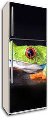 Samolepka na lednici flie 80 x 200  frog macro  a red eyed tree frog isolated on black, 80 x 200 cm