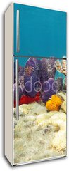Samolepka na lednici fólie 80 x 200, 61200076 - Colorful underwater marine life seabed - Barevné podvodní mořské dno mořského života