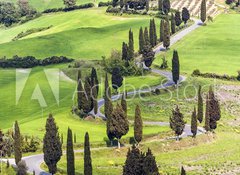 Samolepka flie 100 x 73, 61217216 - Road with curves and cypresses in Tuscany, Italy - Silnice s kivkami a cypiky v Tosknsku, Itlie