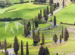 Samolepka flie 100 x 73  Road with curves and cypresses in Tuscany, Italy, 100 x 73 cm