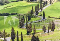 Fototapeta pltno 174 x 120, 61217216 - Road with curves and cypresses in Tuscany, Italy