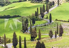 Fototapeta184 x 128  Road with curves and cypresses in Tuscany, Italy, 184 x 128 cm